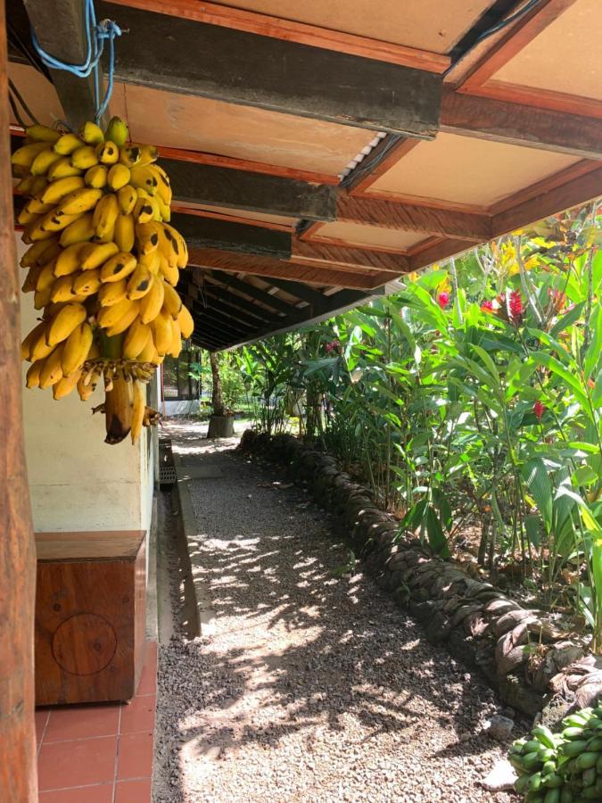 Lusia'S Lagoon Chalets Salelologa エクステリア 写真